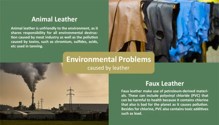 Animal, Vegan and Plant-Based Leather: What Is Truly More Climate-Friendly?
